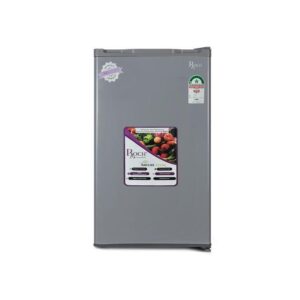 Roch 90 Liters Single Door Refrigerator - Silver (RFR-120S-I)